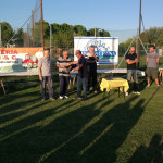 23' Memorial (435)